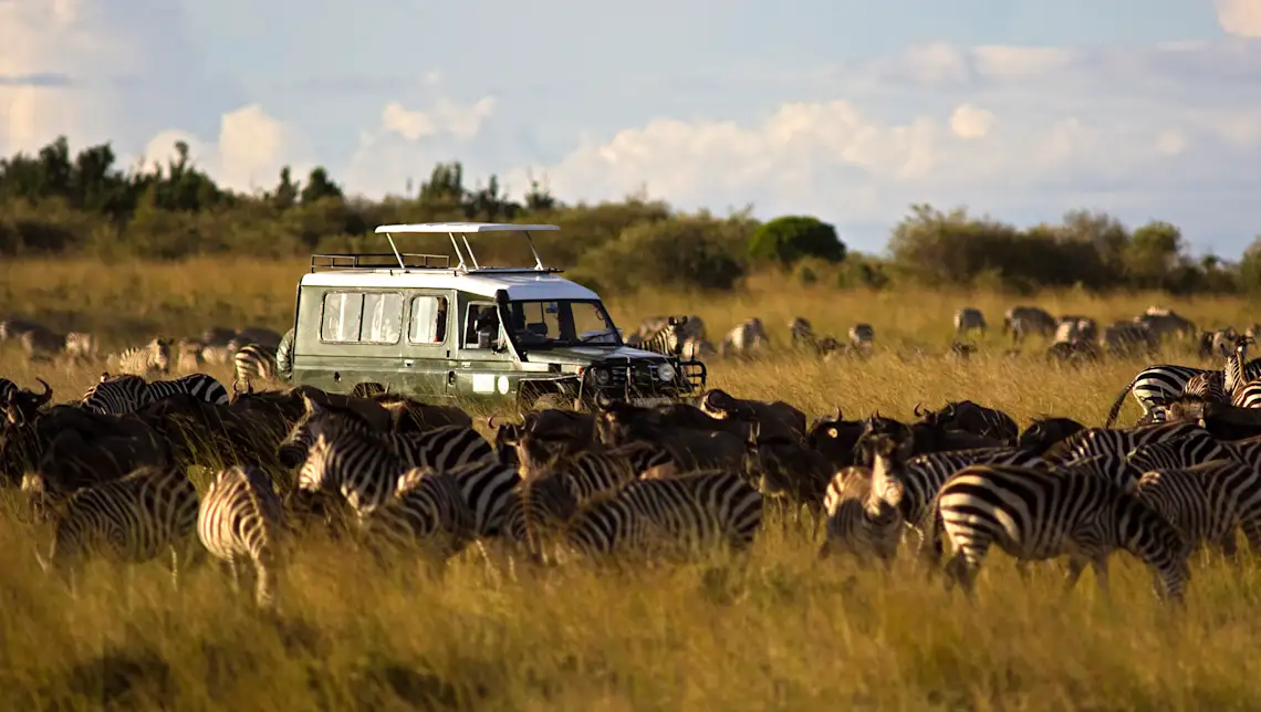 Kenya, Masai Mara, Jeep dans un troupeau de zèbres Jeep de safari dans un troupeau de zèbres dans le parc national de Masai Mara