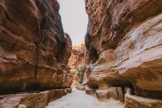 Siq - die Schlucht zur Felsenstadt - zu erleben bei einer Petra Reise