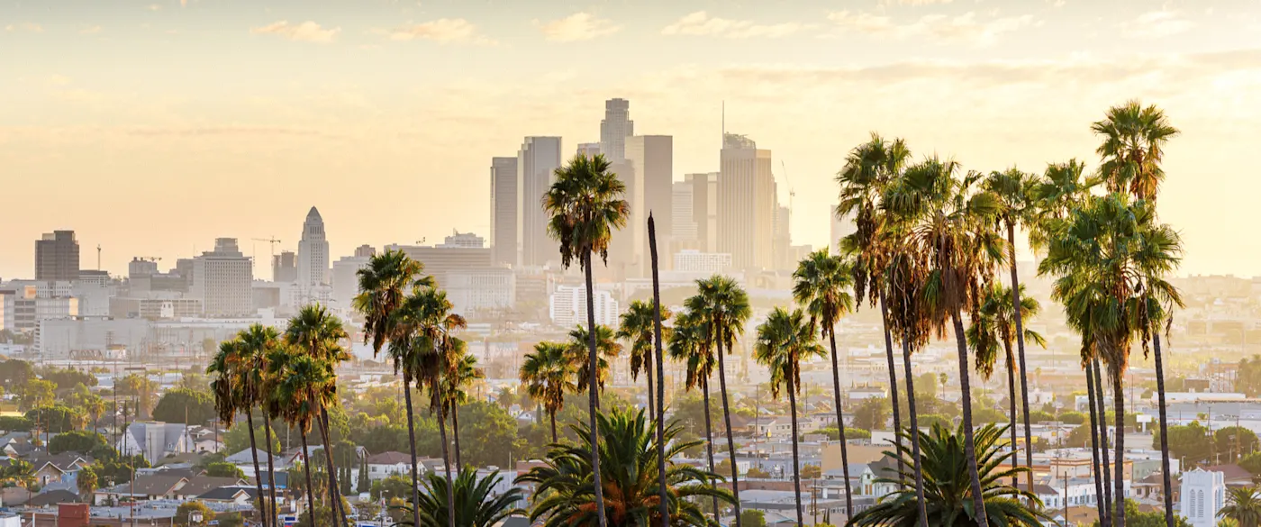 Westküste, USA Sonnenuntergang über der Skyline von Los Angeles mit Palmen im Vordergrund. Los Angeles, Kalifornien, USA.