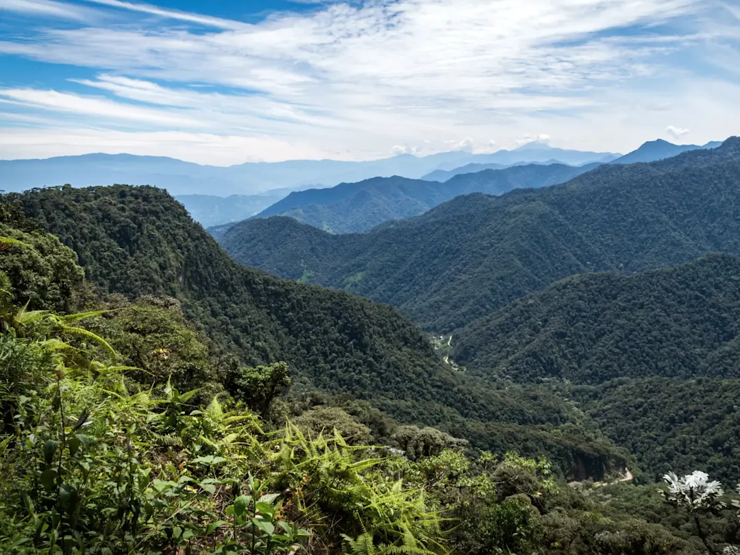 Dichte grüne Berge unter blauem Himmel. Mindo, Pichincha, Ecuador.