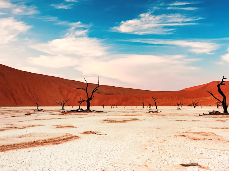 Verlassene, trockene Tonpfanne mit abgestorbenen Bäumen. Deadvlei, Namib, Namibia.
