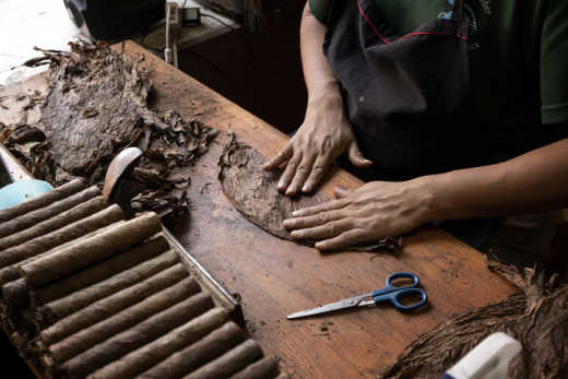 Visitez une fabrique de cigars pendant votre voyage à Punta Cana.