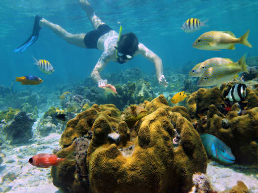 Le récif corallien de Cozumel est le deuxième plus grand du monde