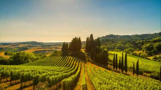 Casale Marittimo Dorf, Weinberge und Landschaft in der Maremma. Toskana, Italien