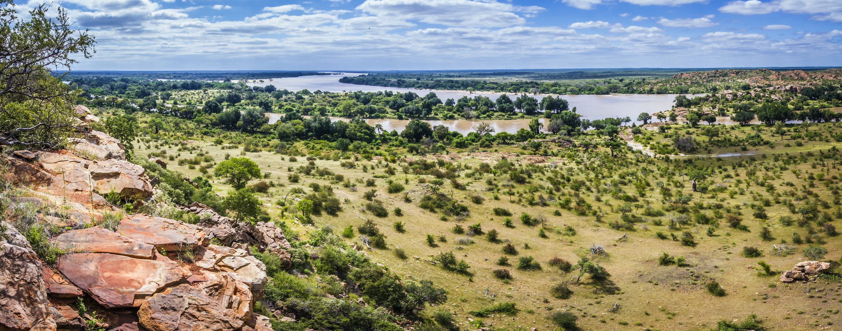 Mapungubwe Nationaal Park in Zuid-Afrika