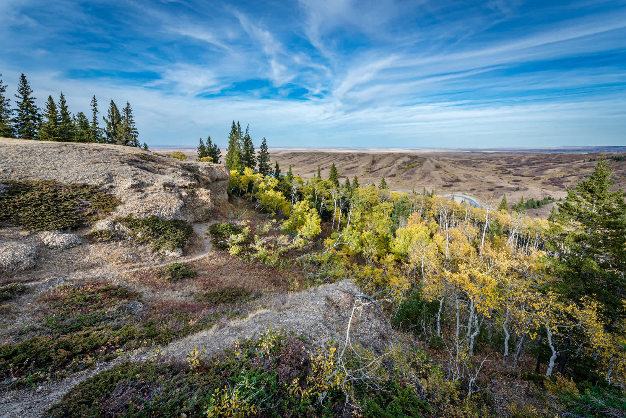 Vue de la vallée de la rivière Battle dans le parc provincial Cypress Hills, Saskatchewan, Canada.

