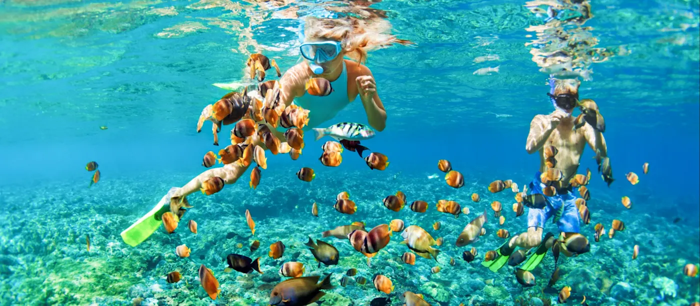 Bahamas, Schnorcher Zwei Schnorchler schwimmen zwischen bunten tropischen Fischen über einem Korallenriff. Bahamas.