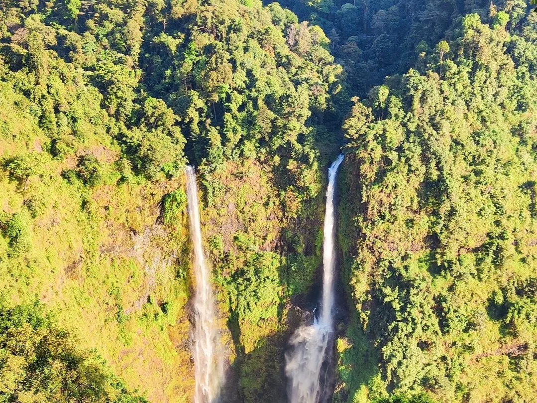 Laos, Plateau des Bolovens, Cascades jumelles Cascades jumelles dans la forêt tropicale. Paksong, Plateau des Bolovens, Laos.