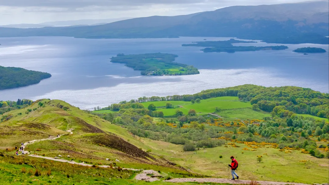 Wanderweg, Loch Lomond, Schottland Blick auf den Loch Lomond und einen Wanderweg mit einem Wanderer in üppig-grüner Natur