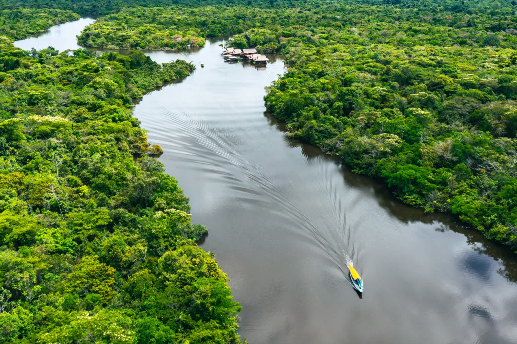 Amazonas et sa fôret tropicale vus d'en haut