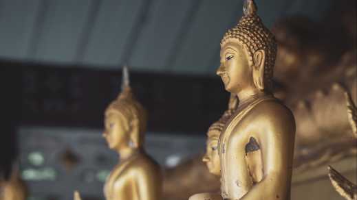 Vue sur plusieurs figures de bouddha en or