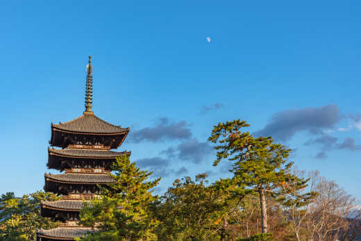 Temple Kofuku-ji de Nara