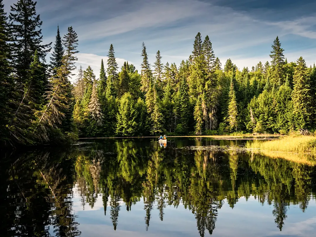 Kanu auf spiegelndem Waldsee im Nationalpark. Algonquin, Ontario, Kanada.
