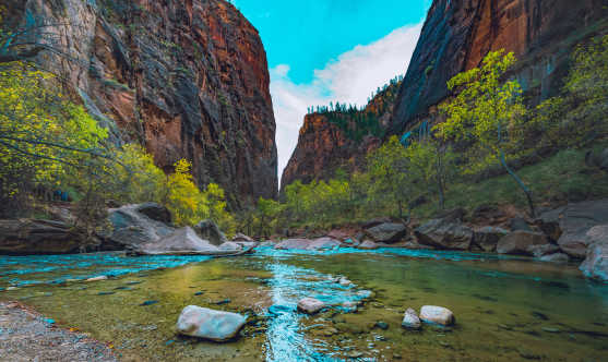 Genießen Sie während Ihres Urlaubs im amerikanischen Westen eine Wanderung im wunderschönen Zion National Park.