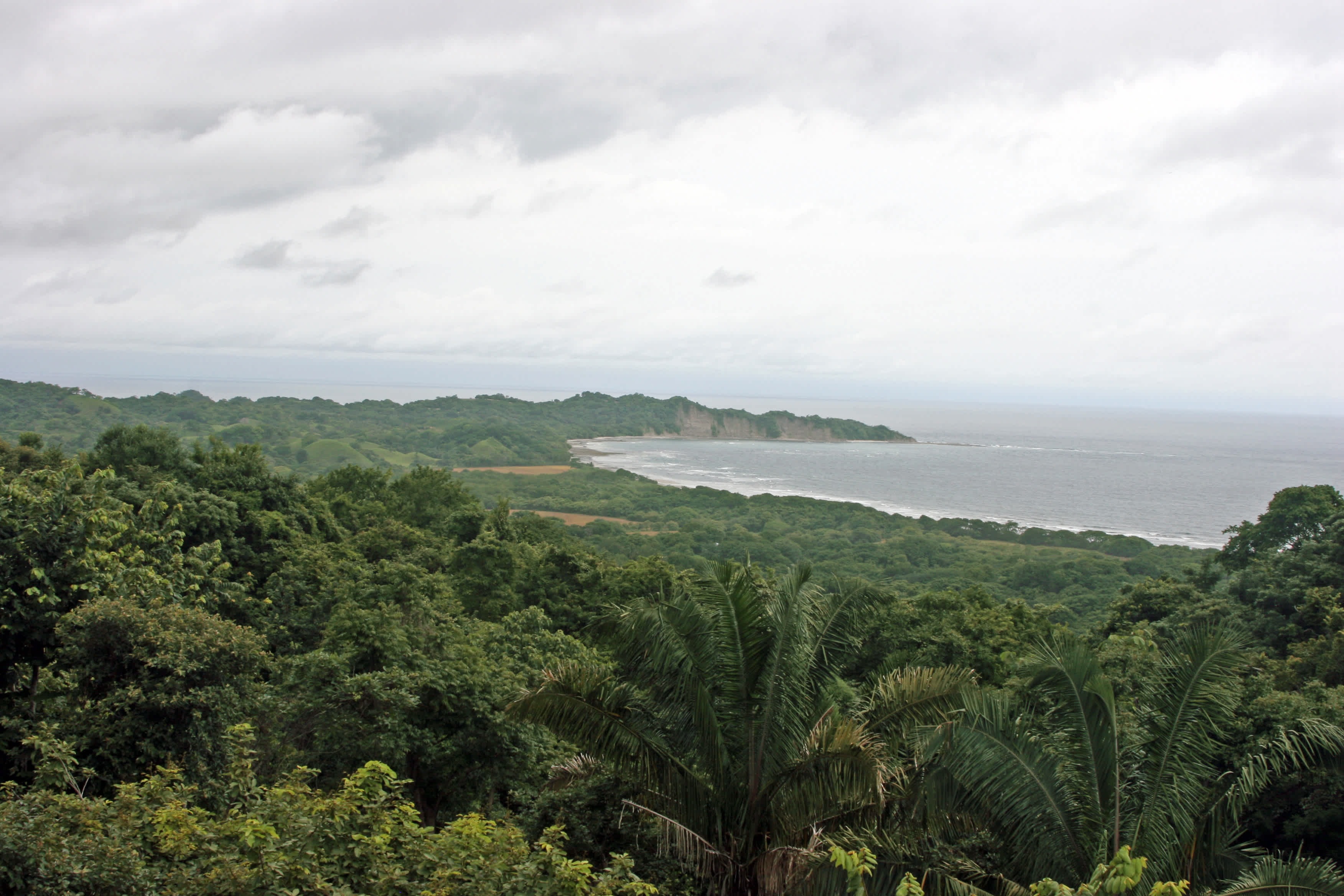 La baie verdoyante de Nosara sur la côte Pacifique du Costa Rica