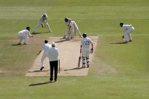 Cricket players during the game. 