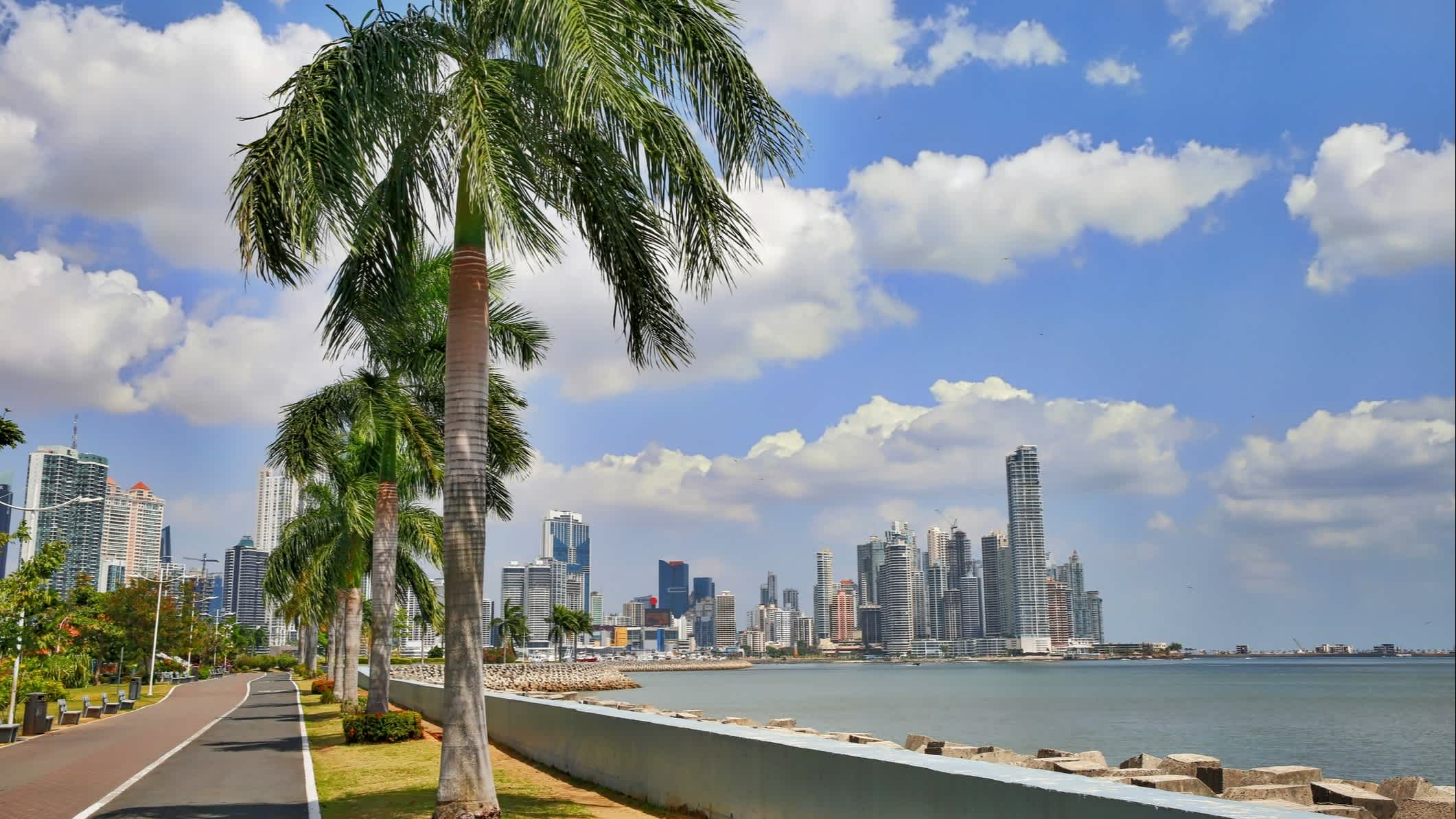 Palmiers au bord de l'eau sur l'Avenida Balboa avec la skyline de Panama City en arrière-plan, Panama