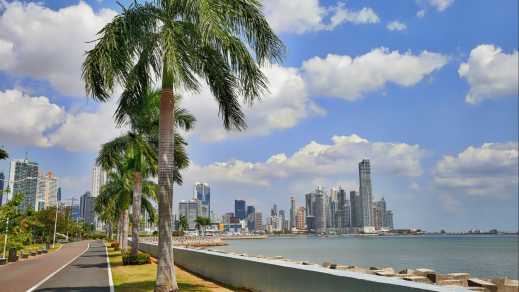 Palmiers au bord de l'eau sur l'Avenida Balboa avec la skyline de Panama City en arrière-plan, Panama