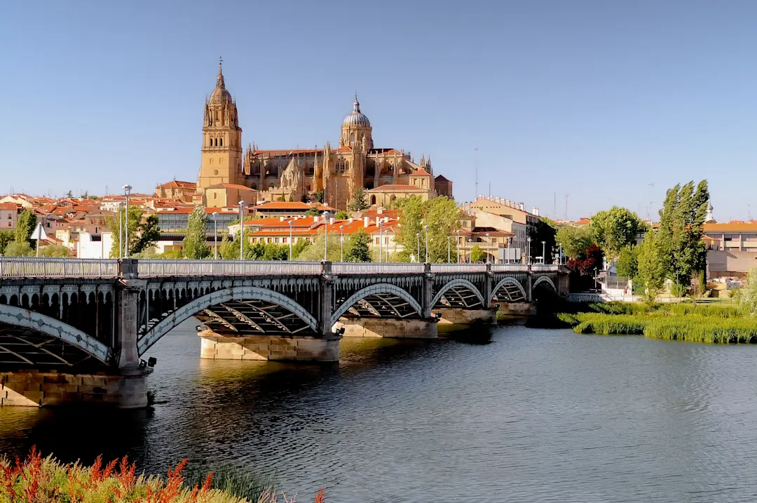 Der Blick auf die Kathedrale von Salamanca und den Fluss Tormes, Spanien