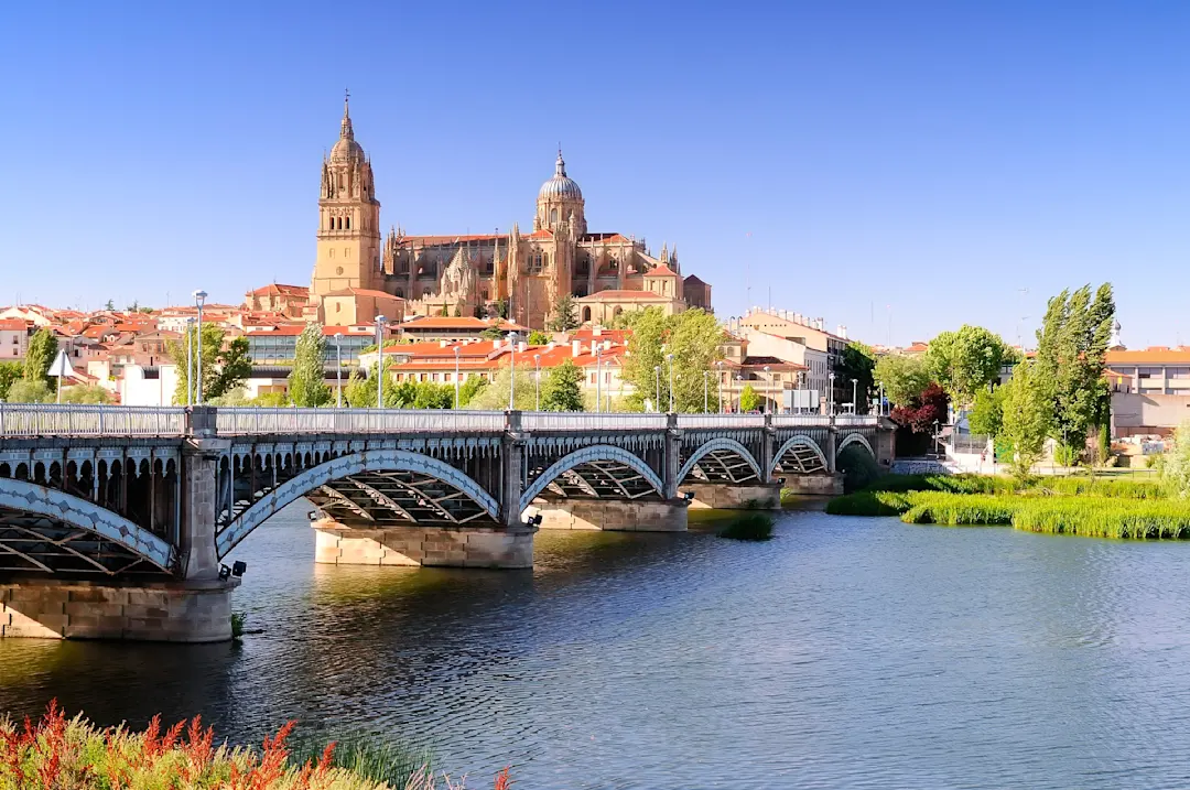 Der Blick auf die Kathedrale von Salamanca und den Fluss Tormes, Spanien