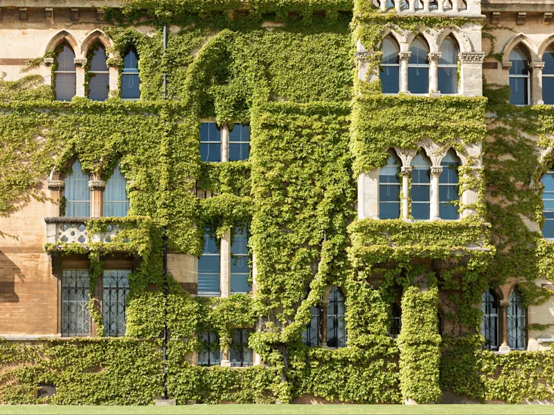 Oxford, England, Vereinigtes Königreich Bewachsene gotische Fassade eines Universitätsgebäudes mit Fenstern und Balkonen. Oxford, England, Vereinigtes Königreich.