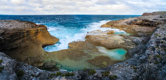 Mit Schweinen schwimmen auf den Bahamas