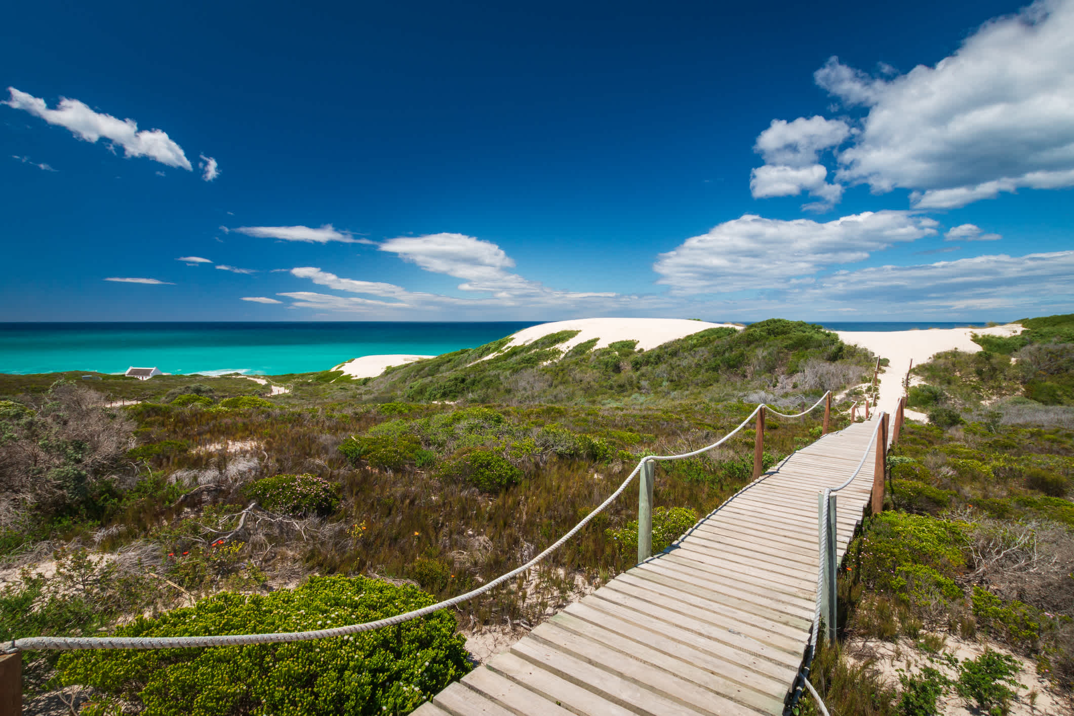 Malerische Aussicht auf den hölzernen Fußweg, der zum Strand im De Hoop Nature Reserve, Südafrika führt