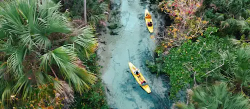 Der perfekte Florida Urlaub!