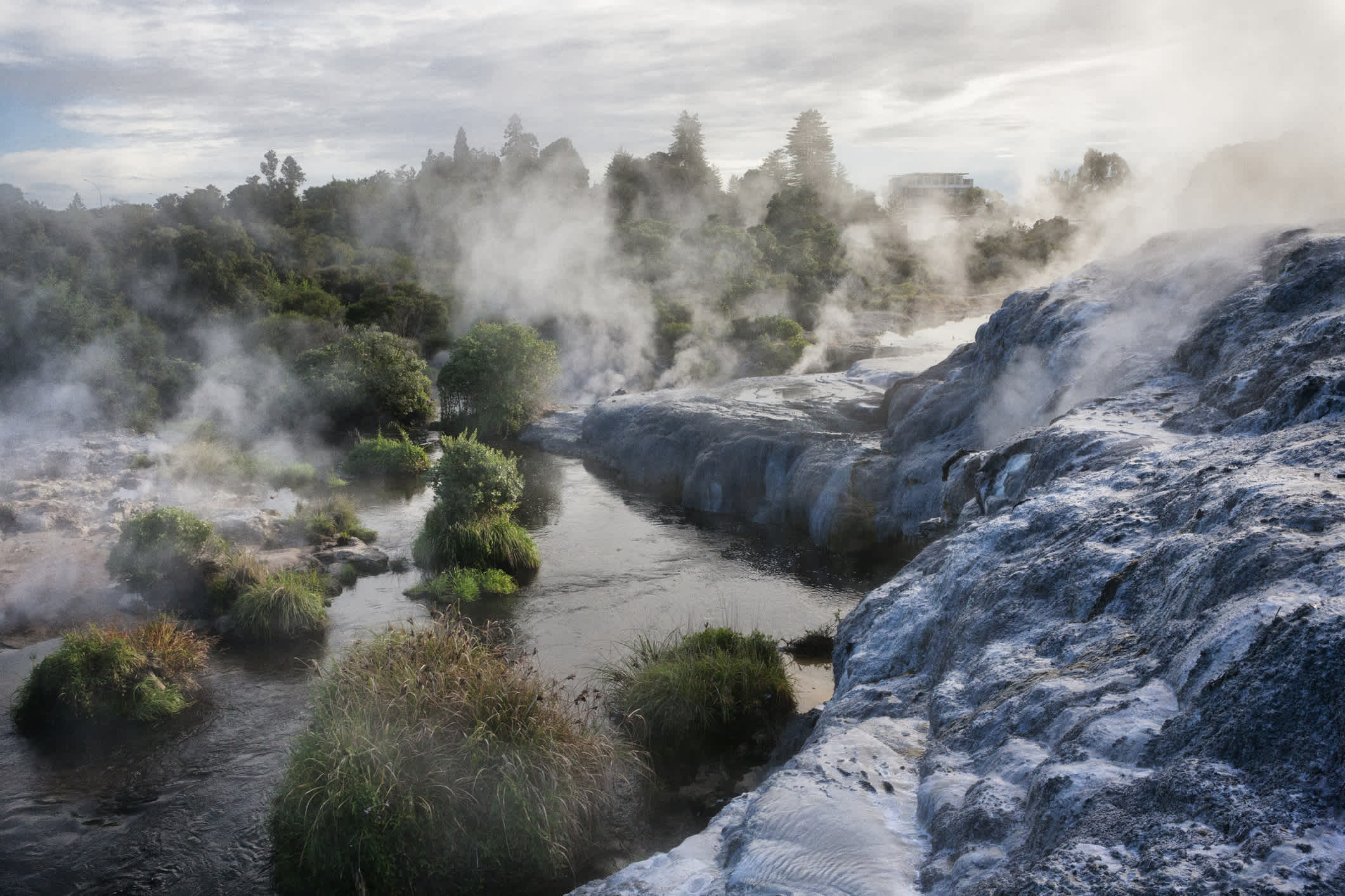La vapeur des fumerolles, des geysers et des sources chaudes du parc thermal de Whakarewarewa à Rotorua, en Nouvelle-Zélande.