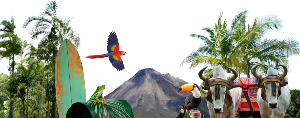 CostaRica XS NTCG