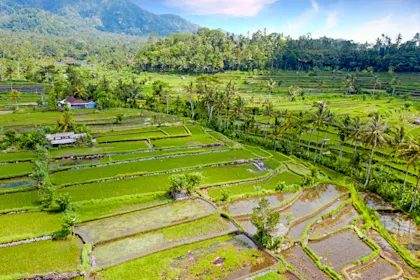 Voyage en Indonésie de 3 semaines - Image 1