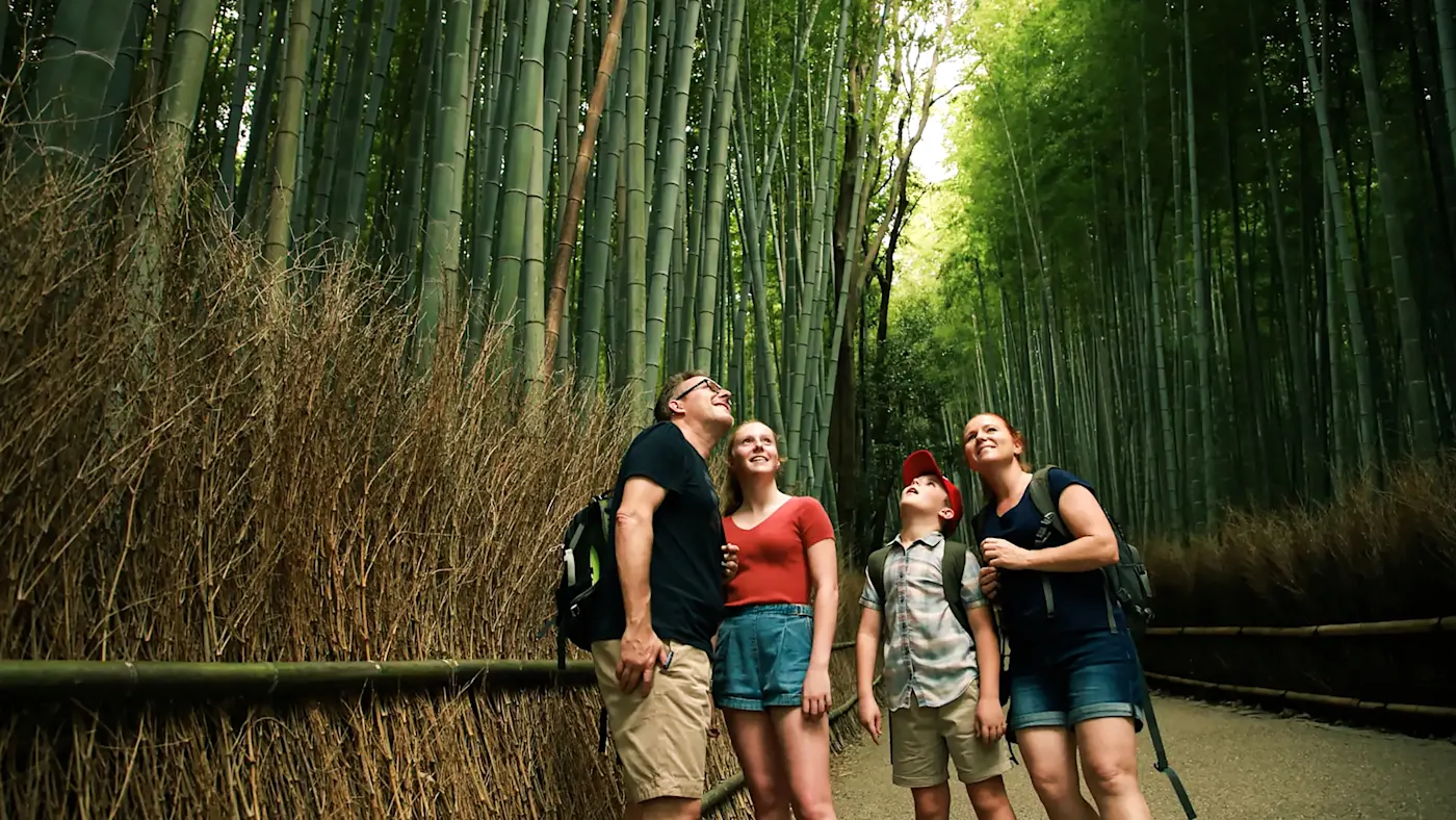 Japan, Bambuswald, Familienurlaub Eine 4-köpfige Familie staunt über die meterhohen Bambusbäume. Japan.