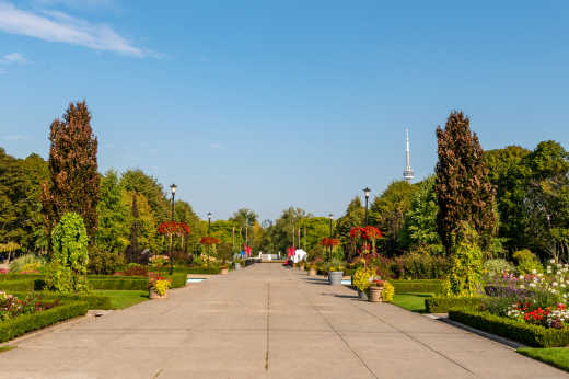 Toronto Island Park