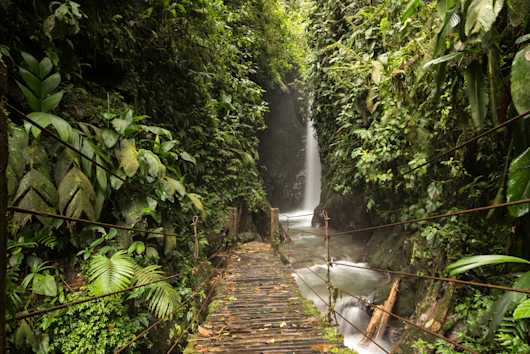 Die Top 3 Sehenswürdigkeiten in Mindo Tourlane