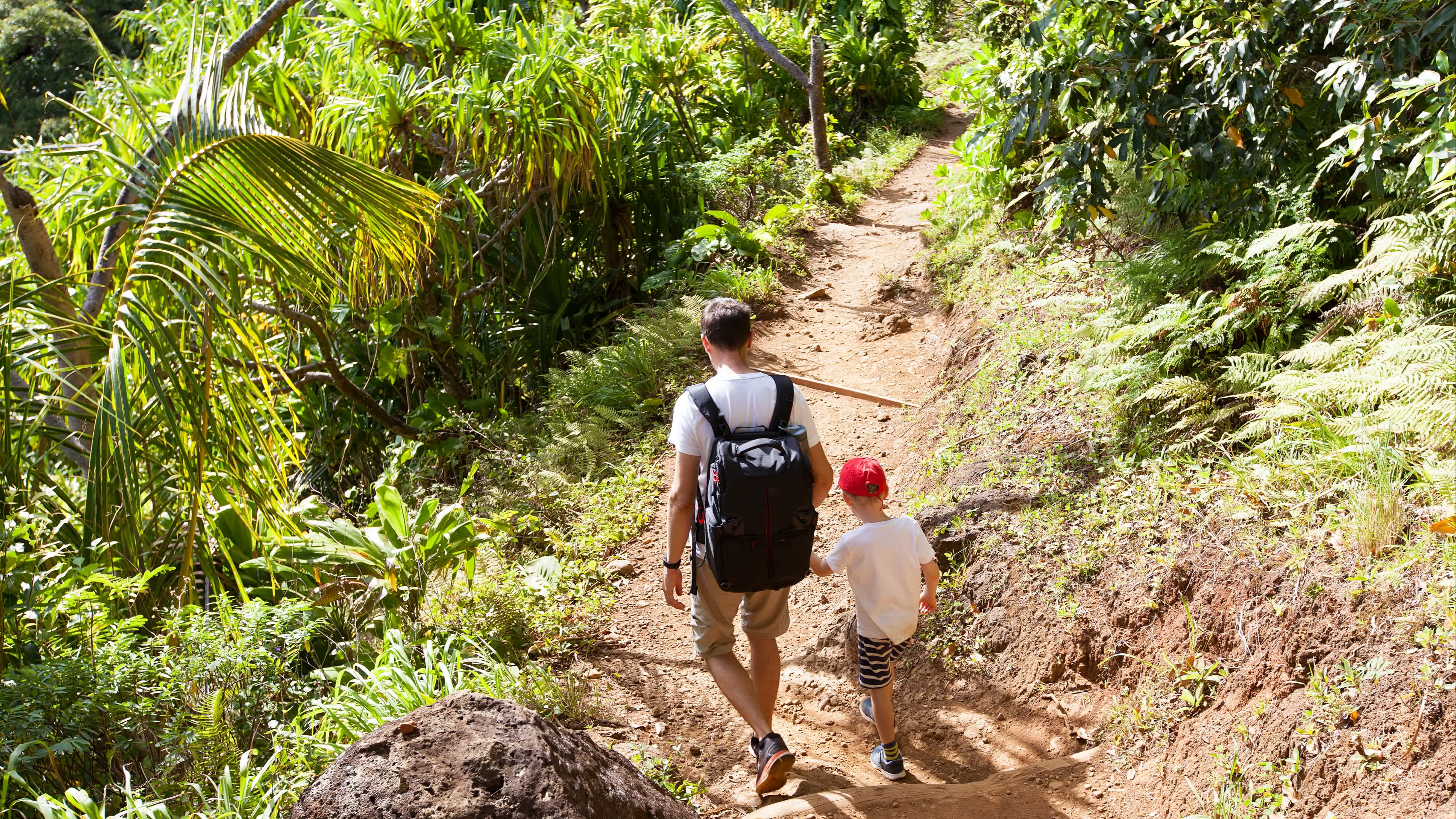 Vader en zoon wandelen door de jungle op Kauai in Hawaii