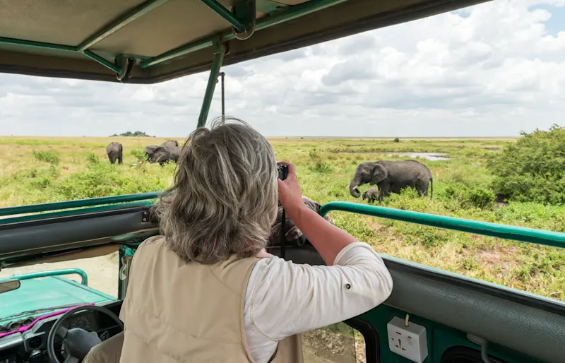 Tansania, Frau, Safari Safaritour in grünem Fahrzeug mit Blick auf Elefantenherde in weiter Graslandschaft unter bewölktem Himmel.