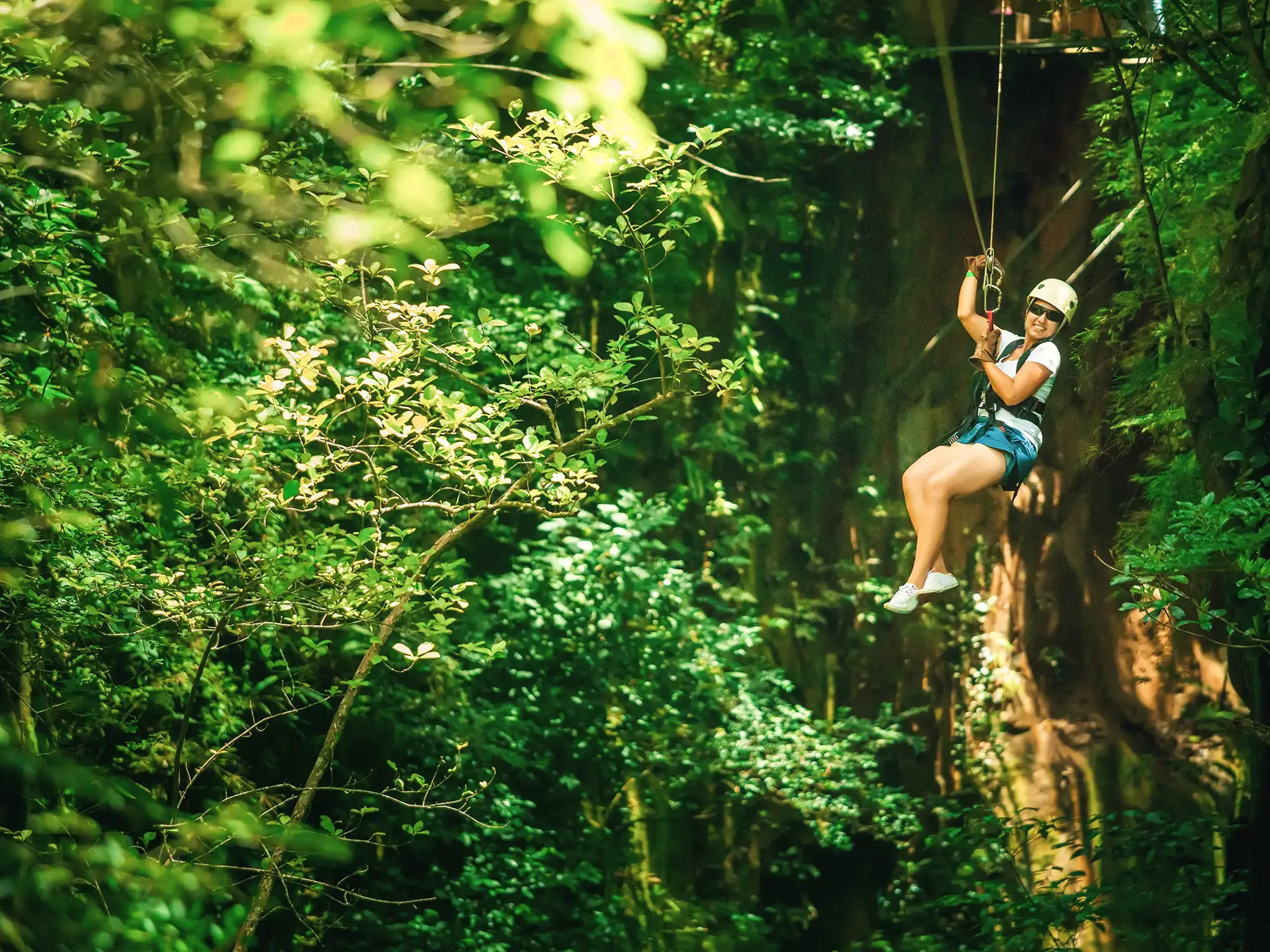Abenteuerspaß mit Zipline im üppigen Dschungel. Monteverde, Puntarenas, Costa Rica.