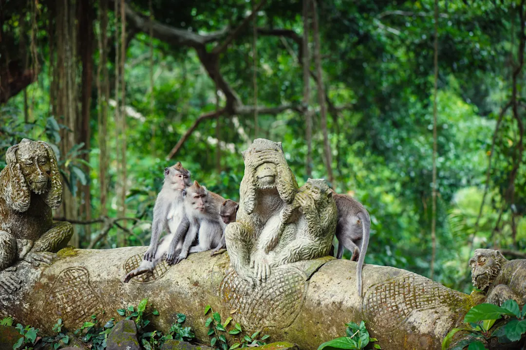 ASien Bali Ubud Sacred Monkey Forest Sanctuary Ubud Sacred Monkey Forest Sanctuary
