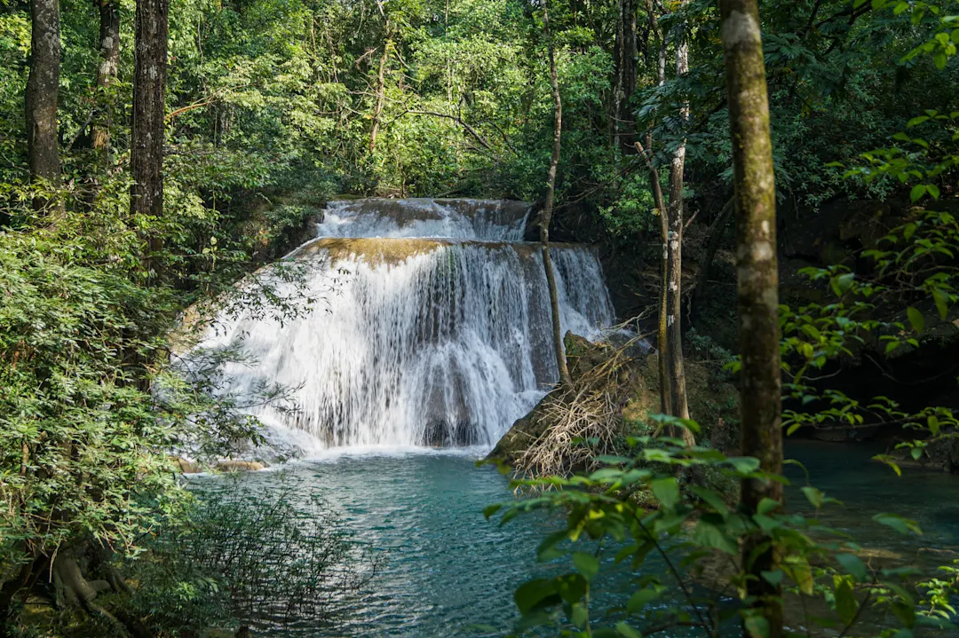 Mexiko, Chiapas, Roberto-Barrios-Wasserfälle Photo d'une cascade au cœur de la jungle