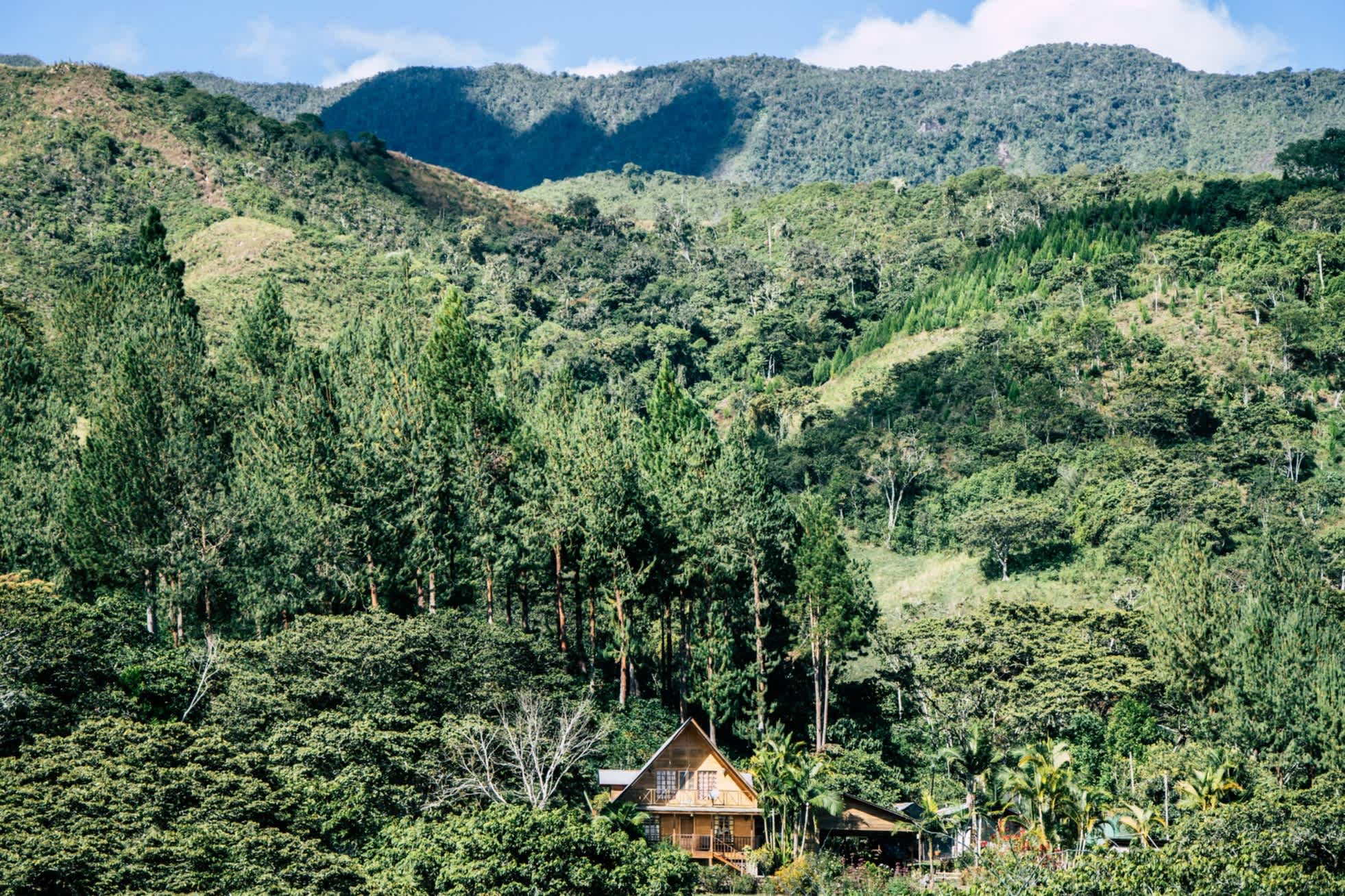 Vue d'une maison au milieu d'un paysage verdoyant de forêts et de montagnes
