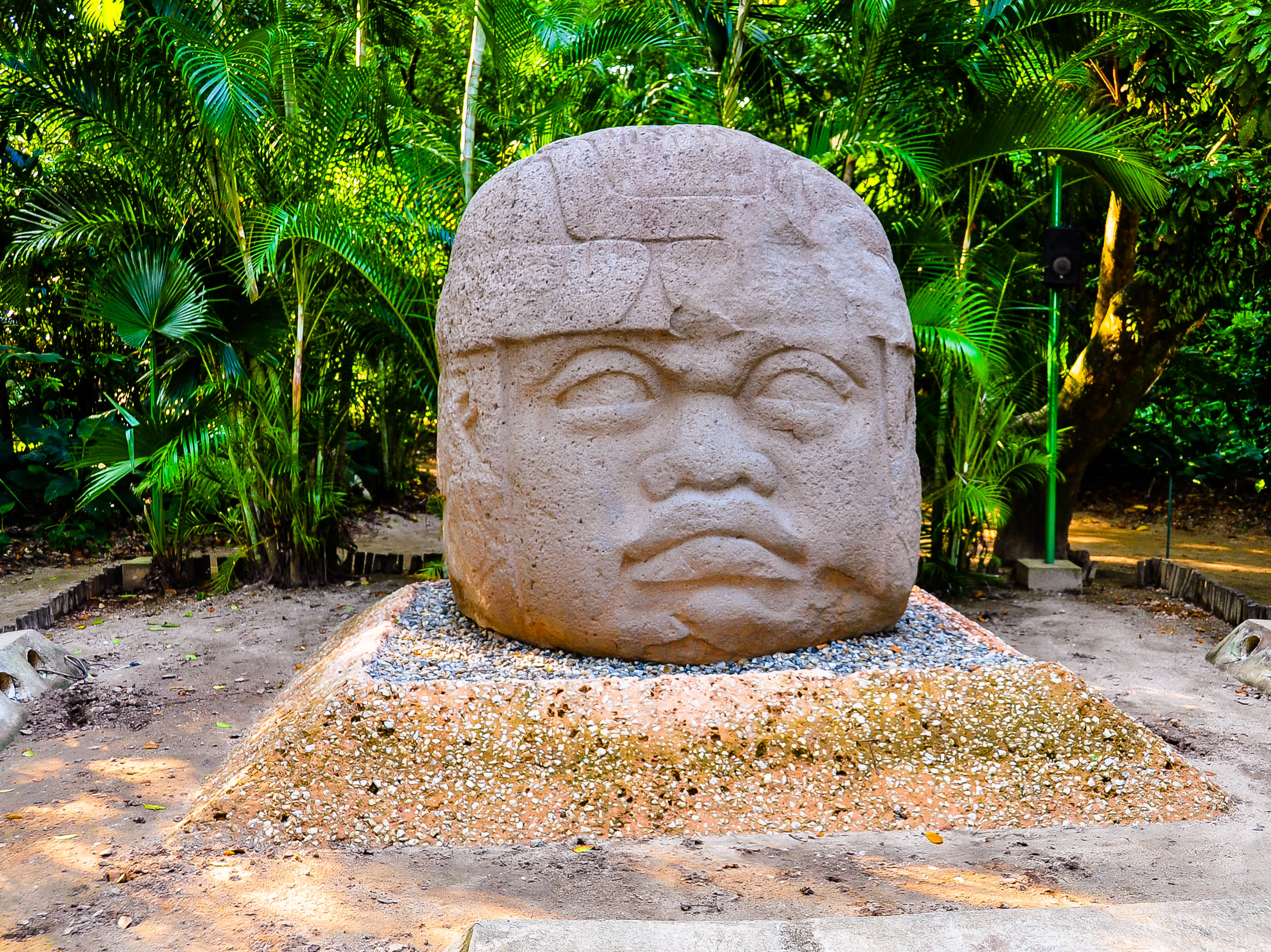 Une tête olmèque colossale du musée en plein air de La Venta à Villahermosa, Mexique