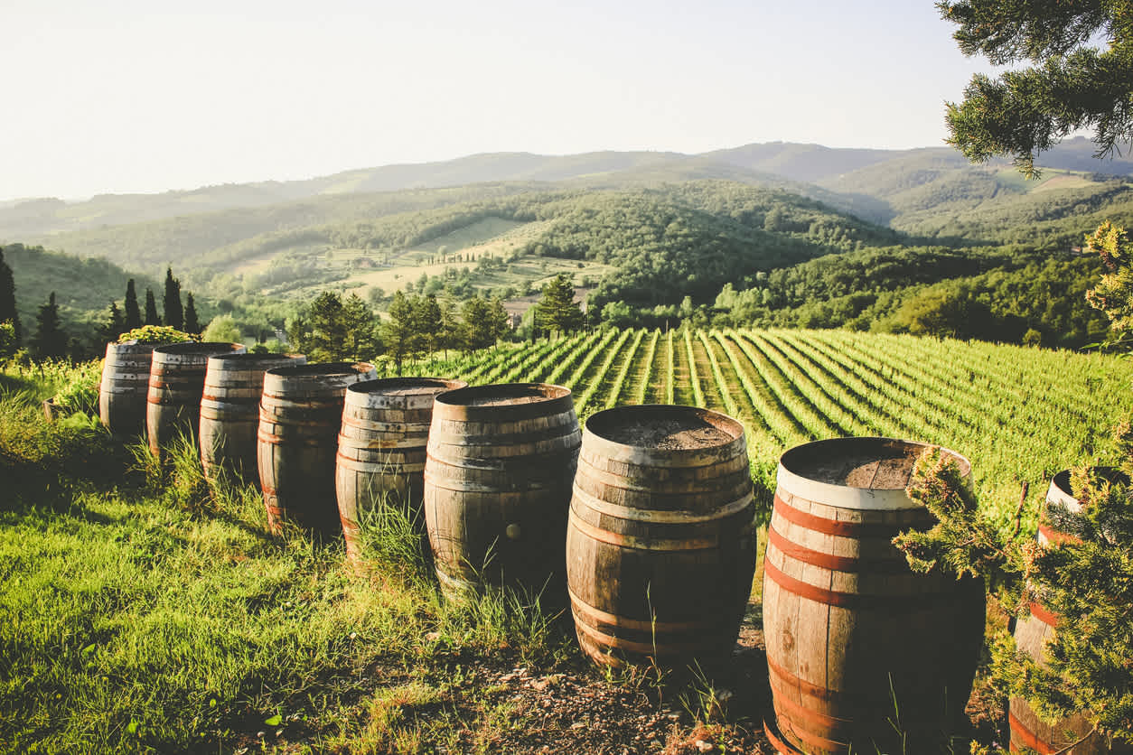 Goûtez aux vins du Chianti pendant votre voyage en Italie.