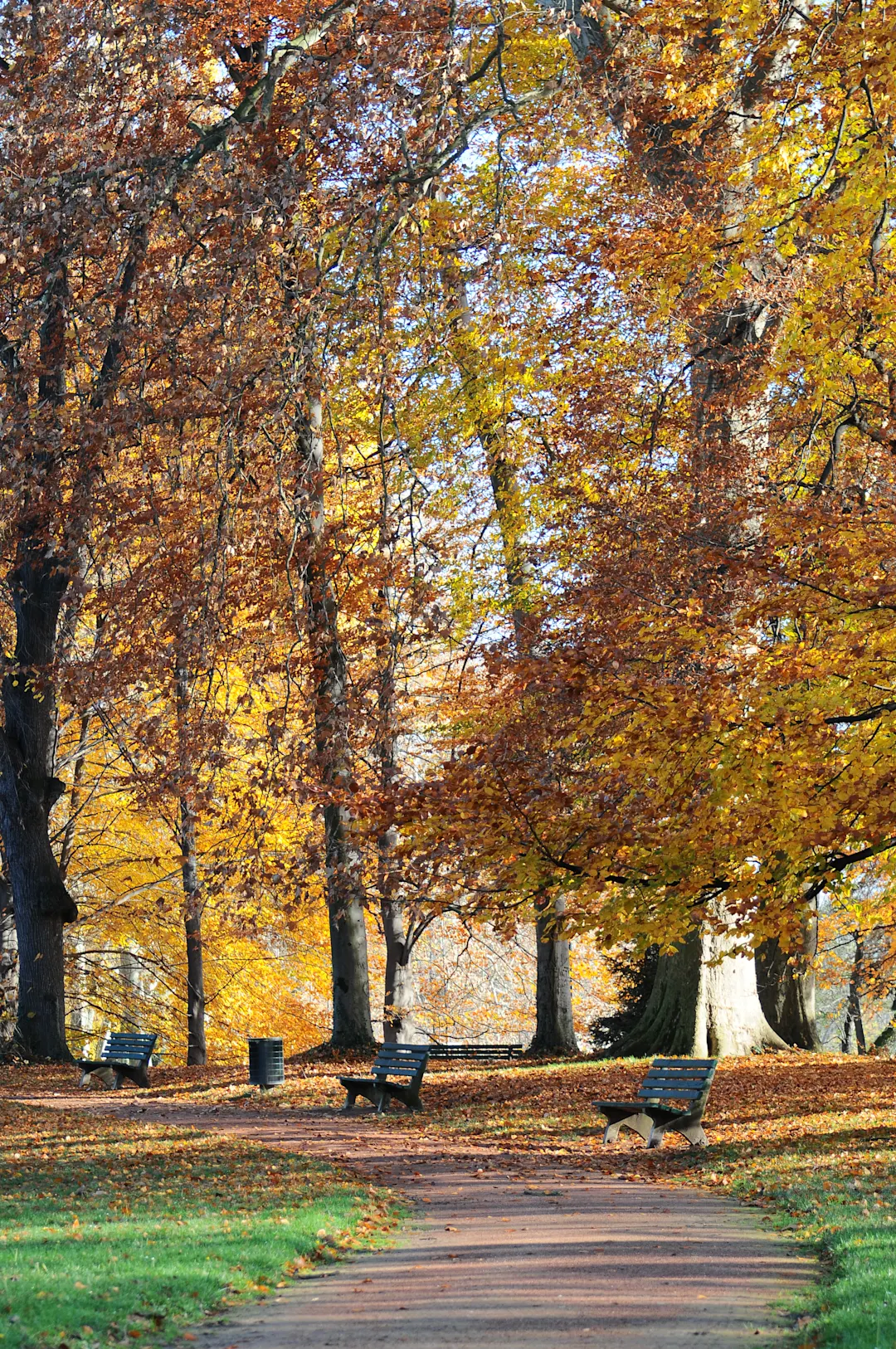 Parc de la Tête d’Or A green escape with lakes, gardens, and calm moments