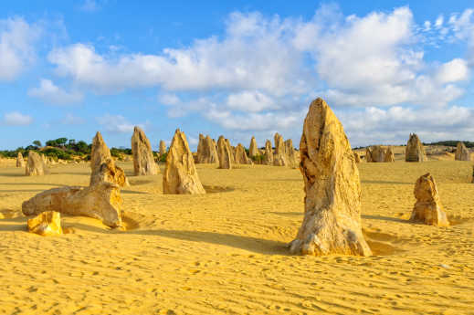 Perth Pinnacles Desert