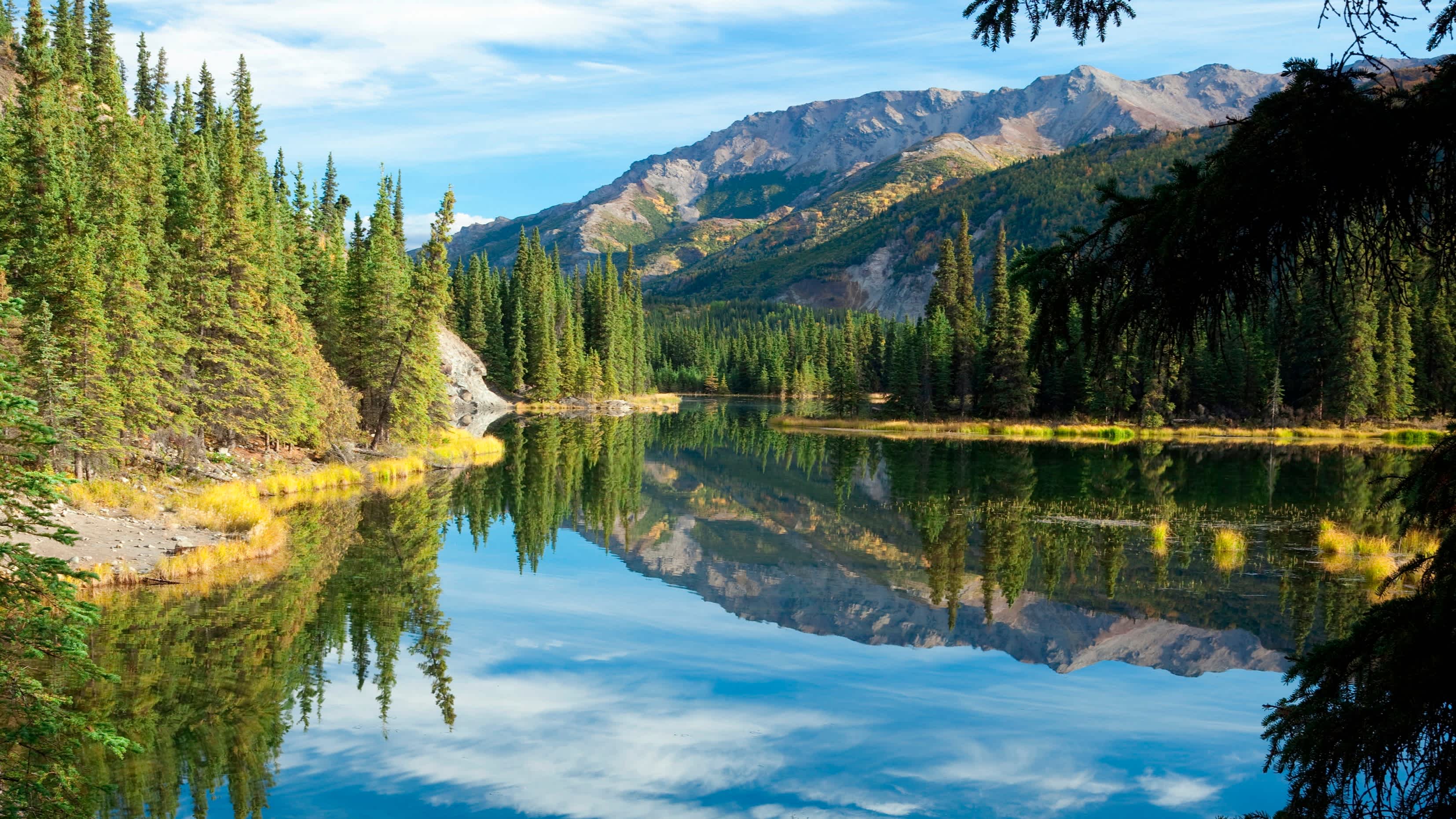 Visitez le parc national Denali pendant votre voyage en Alaska