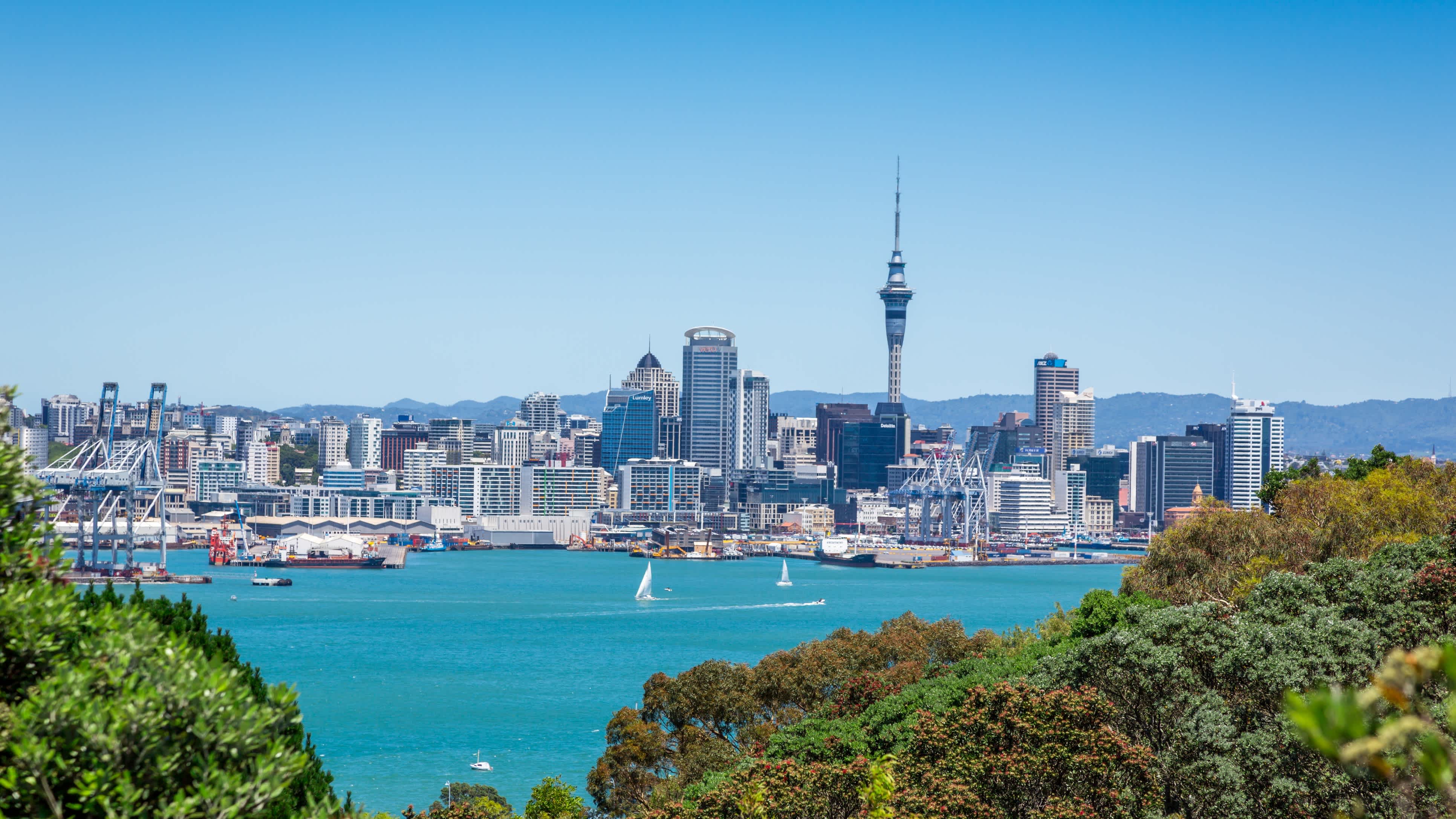 Skyline_von_Auckland_Neuseeland