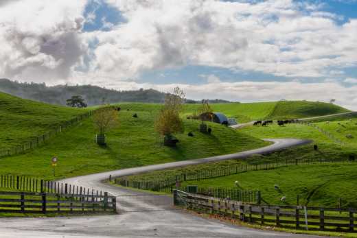Der Eingang zum Hobbit-Dorf, Matamata, Neuseeland
