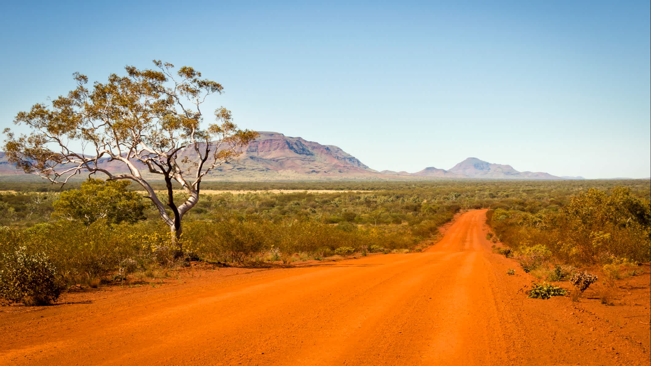 Rote Straße passiert einen einsamen Baum mit entfernten Bergkette im Hintergrund, Australien