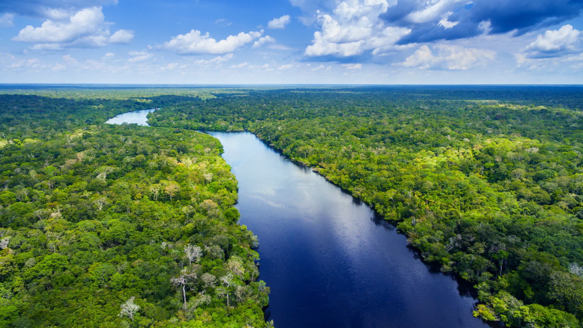 Vue aérienne du fleuve Amazone, bordé de végétation, en Équateur.