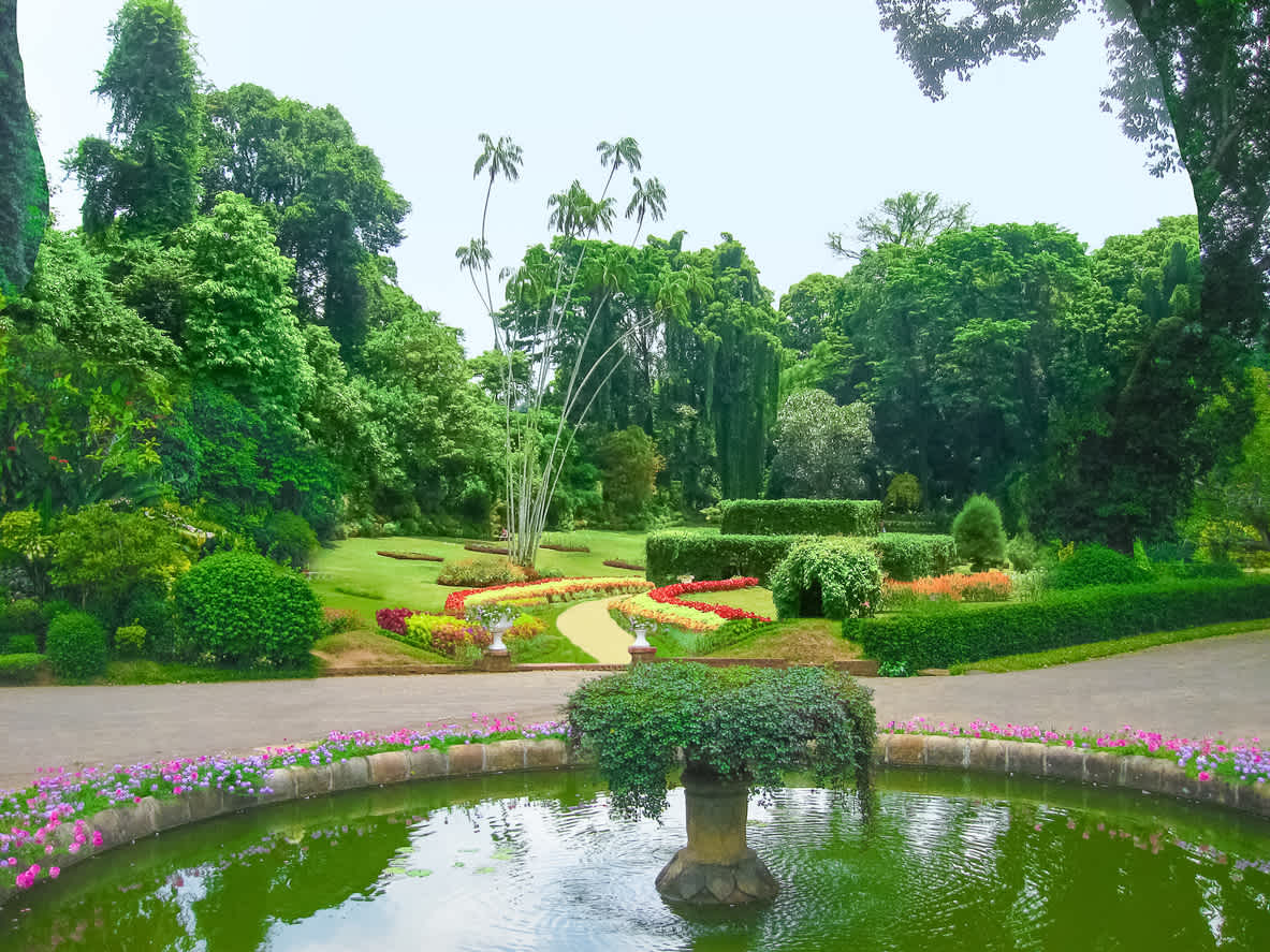 Royal Botanical Garden in Peradeniya in Sri Lanka